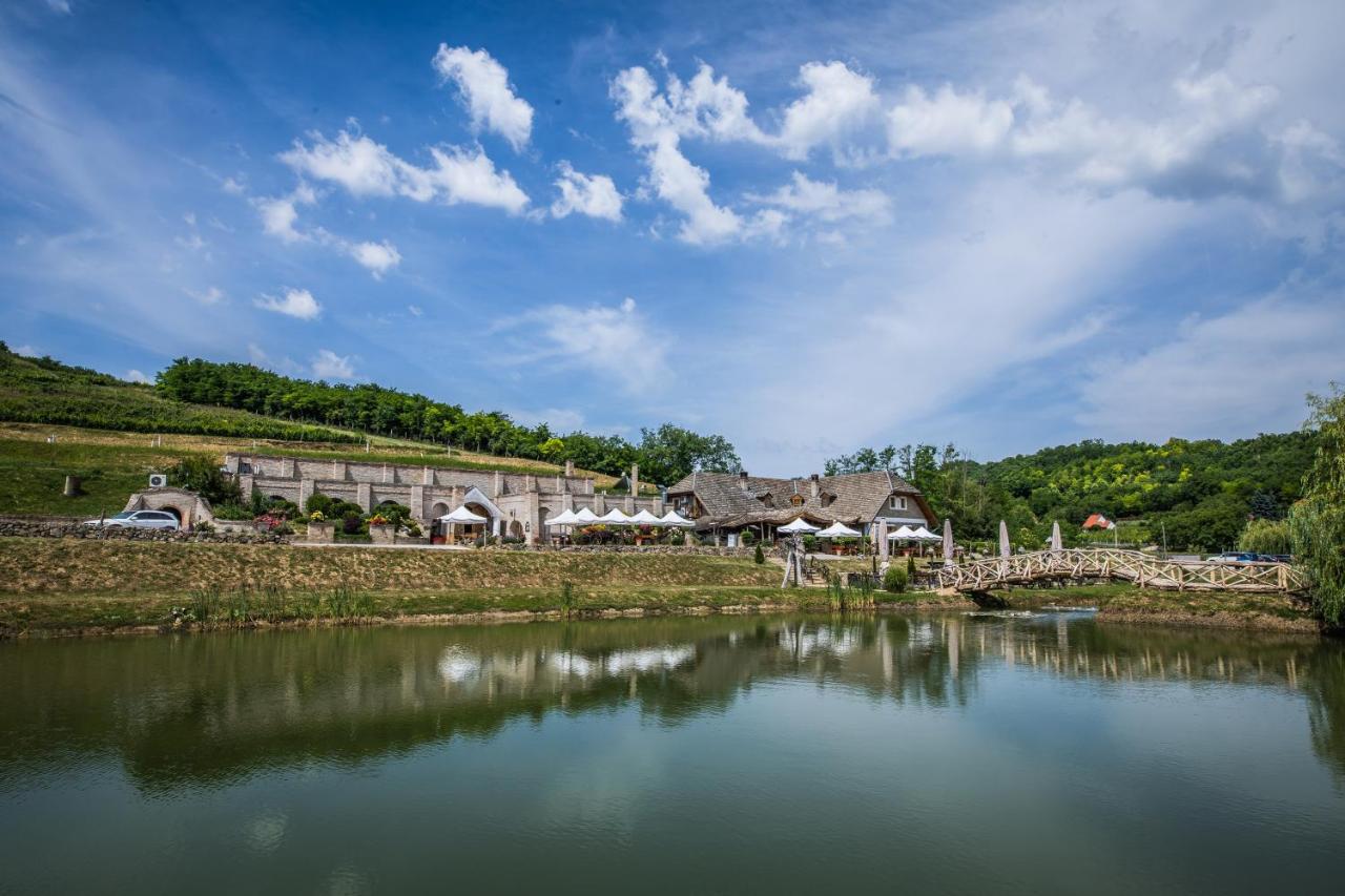 Hotel Bodri Pinceszet Szekszárd Zewnętrze zdjęcie