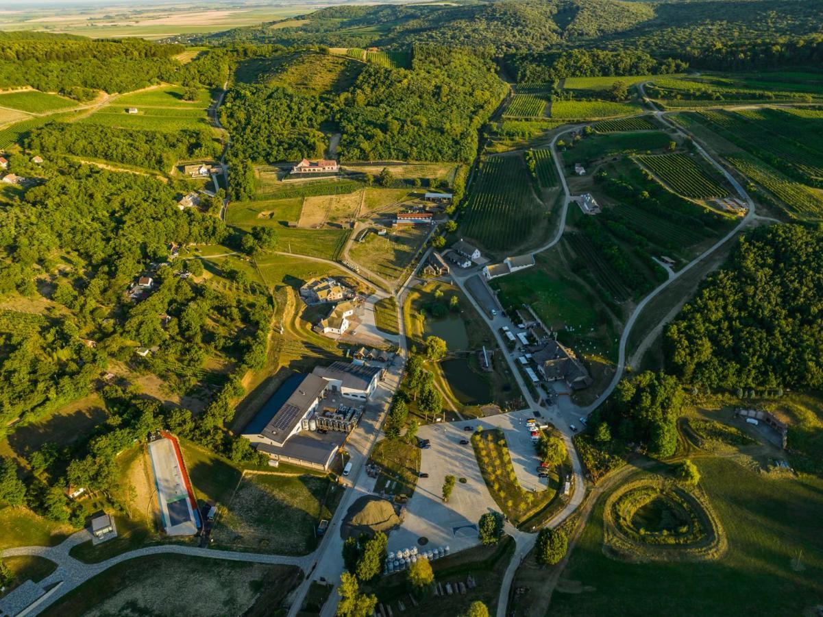 Hotel Bodri Pinceszet Szekszárd Zewnętrze zdjęcie